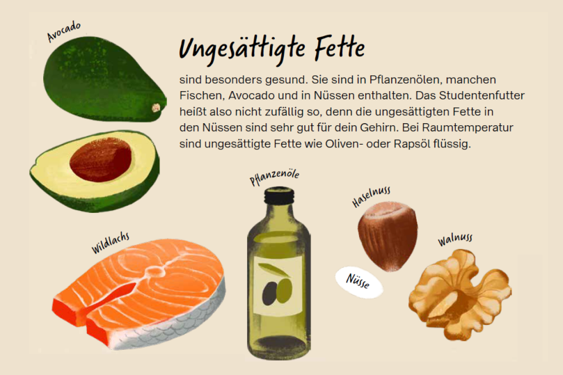 Lerninhalt zu ungesättigten Fetten: "Ungesättigte Fette sind besonders gesund. Sie sind in Pflanzenölen, manchen Fischen, Avocado und in Nüssen enthalten. Das Studentenfutter heißt also nicht zufällig so, denn die ungesättigten Fette in den Nüssen sin dsehr gut für dein Gehirn. Bei Raumtemperatur sind ungesättigte Fette wie Oliven-oder Rapsöl flüssig." Abgebildet sind zwei Hälften einer aufgeschnittenen Avocado, Wildlachsfilet, eine Flasche Olivenöl, eine Hasel- und eine Walnuss.