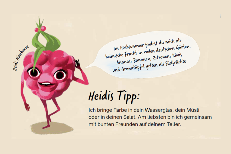 Ernährungsheldin Heidi Himbeere stellt sich vor: "Im Hochsommer findest du mich als heimische Frucht in vielen deutschen Gärten. Ananas, Bananen, Zitronen, Kiwis und Granatäpfel gelten als Südfrüchte." Heidi's Tipp: "ICh bringe Farbe in dein Wasserglas, dein Müsli oder deinen Salat. Am liebsten bin ich gemeinsam mit bunten Freunden auf deinem Teller."