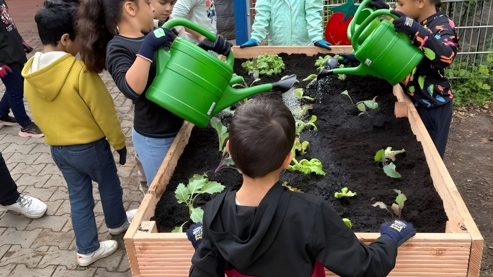 Kinder wie sie ein Hochbeet mit kleinen eingesetzten Jungpflanzen gießen