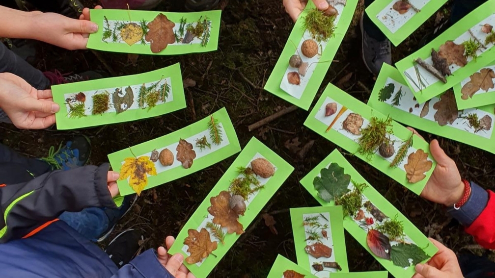 Kinder halten selbstgebastelte Schildchen mit ihren Funden aus dem Wald in die Kamera